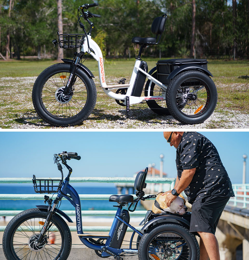 adults electric trike
